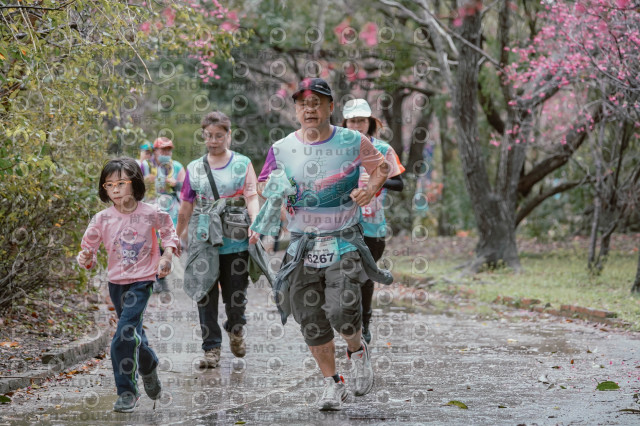 2026左岸竹東櫻花馬拉松Zhudong Sakura Marathon