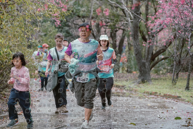 2026左岸竹東櫻花馬拉松Zhudong Sakura Marathon