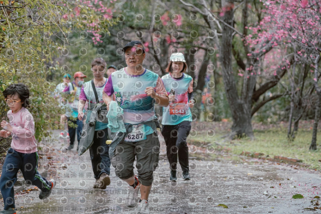 2026左岸竹東櫻花馬拉松Zhudong Sakura Marathon