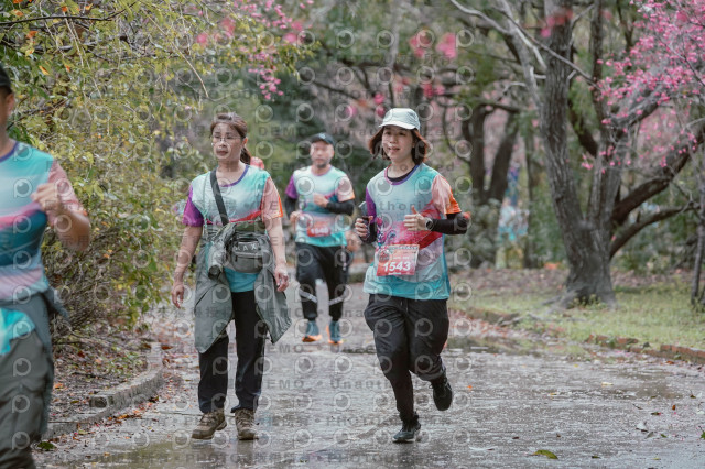 2026左岸竹東櫻花馬拉松Zhudong Sakura Marathon