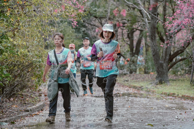 2026左岸竹東櫻花馬拉松Zhudong Sakura Marathon