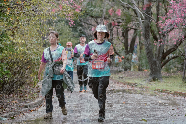 2026左岸竹東櫻花馬拉松Zhudong Sakura Marathon
