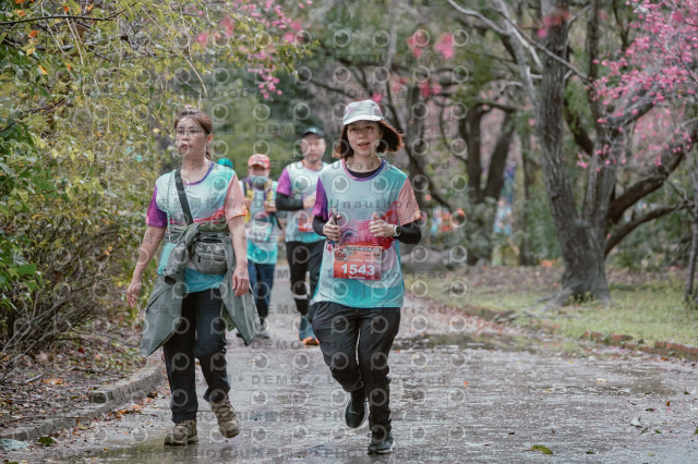 2026左岸竹東櫻花馬拉松Zhudong Sakura Marathon
