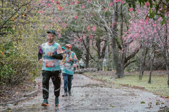 2026左岸竹東櫻花馬拉松Zhudong Sakura Marathon
