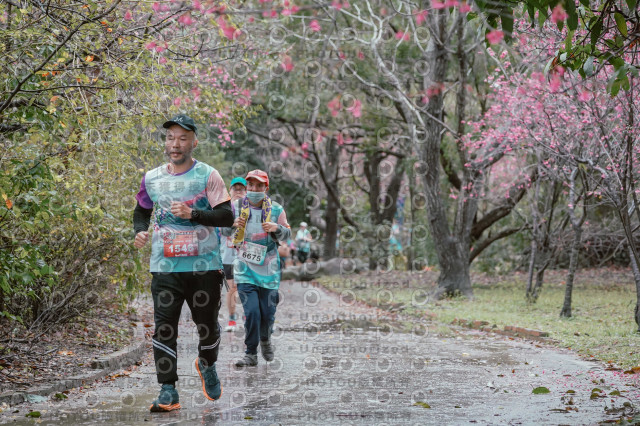 2026左岸竹東櫻花馬拉松Zhudong Sakura Marathon