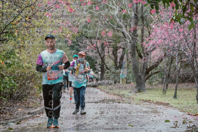 2026左岸竹東櫻花馬拉松Zhudong Sakura Marathon