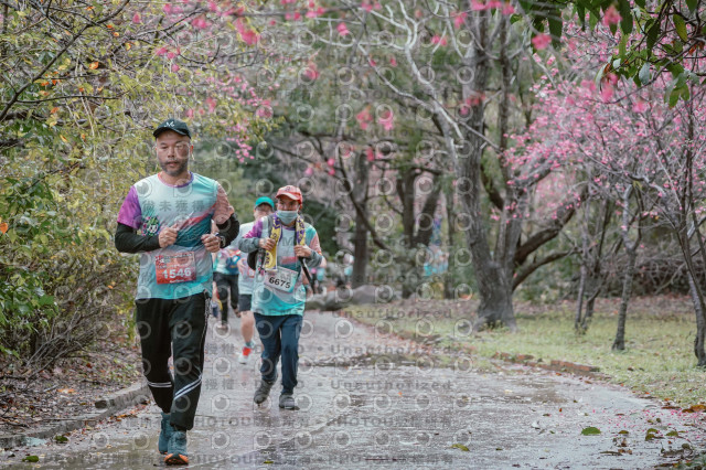 2026左岸竹東櫻花馬拉松Zhudong Sakura Marathon