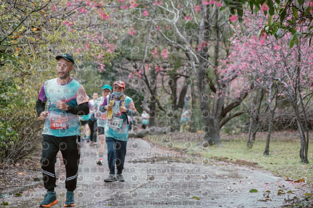 2026左岸竹東櫻花馬拉松Zhudong Sakura Marathon