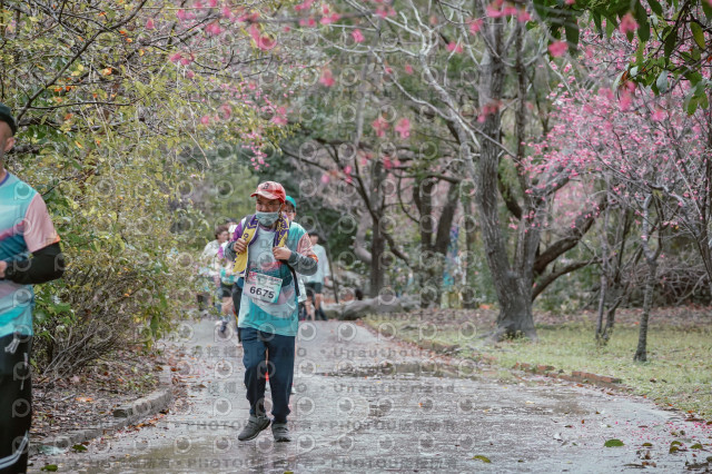2026左岸竹東櫻花馬拉松Zhudong Sakura Marathon