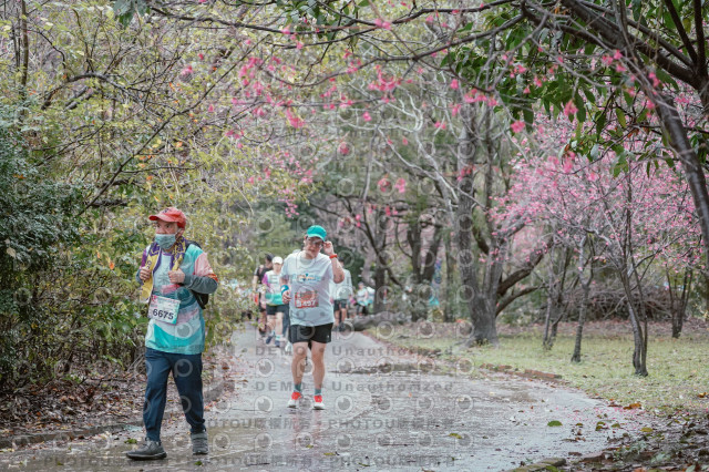 2026左岸竹東櫻花馬拉松Zhudong Sakura Marathon