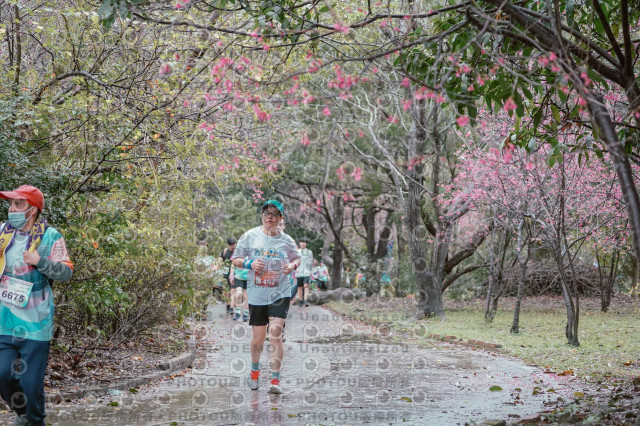 2026左岸竹東櫻花馬拉松Zhudong Sakura Marathon