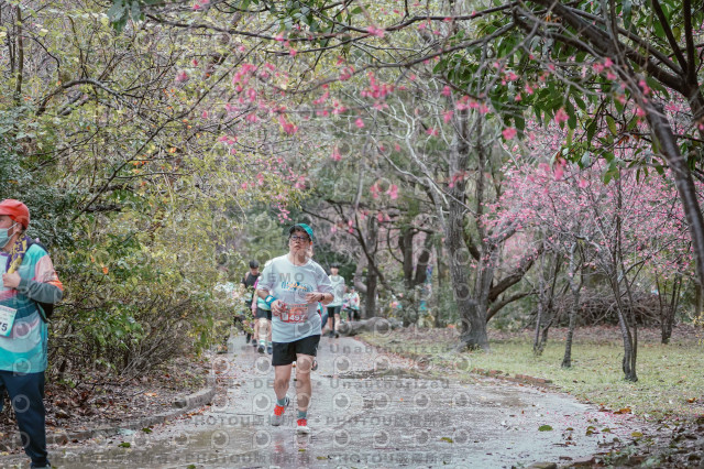 2026左岸竹東櫻花馬拉松Zhudong Sakura Marathon
