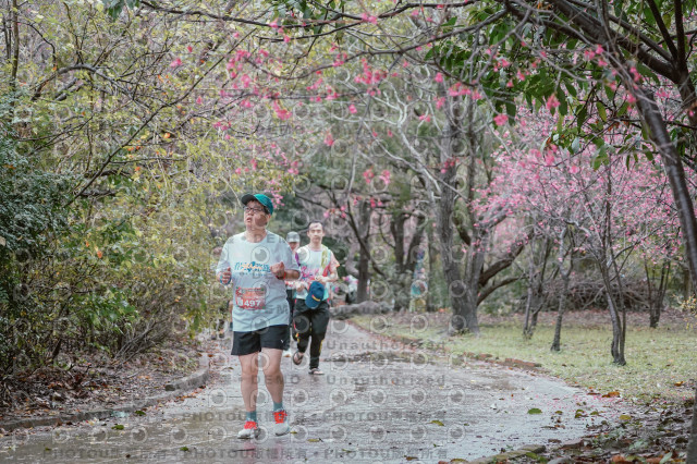 2026左岸竹東櫻花馬拉松Zhudong Sakura Marathon