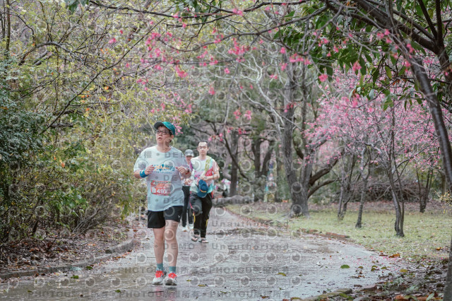 2026左岸竹東櫻花馬拉松Zhudong Sakura Marathon