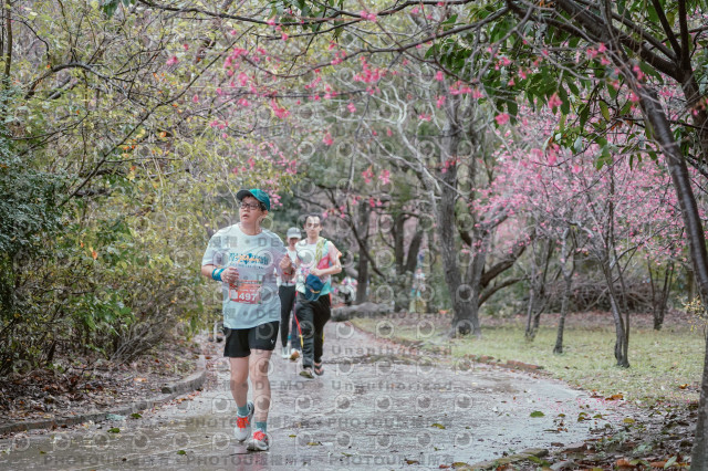 2026左岸竹東櫻花馬拉松Zhudong Sakura Marathon