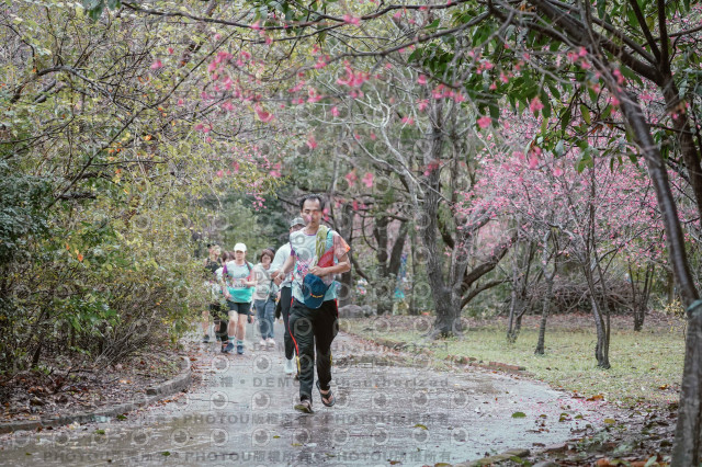2026左岸竹東櫻花馬拉松Zhudong Sakura Marathon