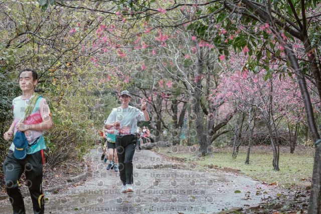 2026左岸竹東櫻花馬拉松Zhudong Sakura Marathon