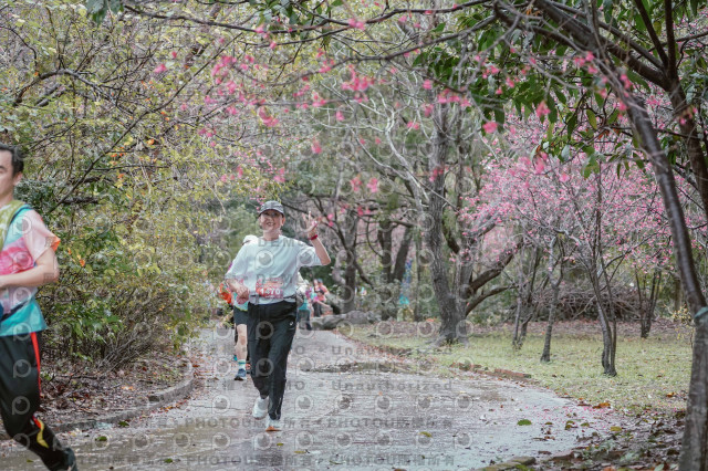 2026左岸竹東櫻花馬拉松Zhudong Sakura Marathon