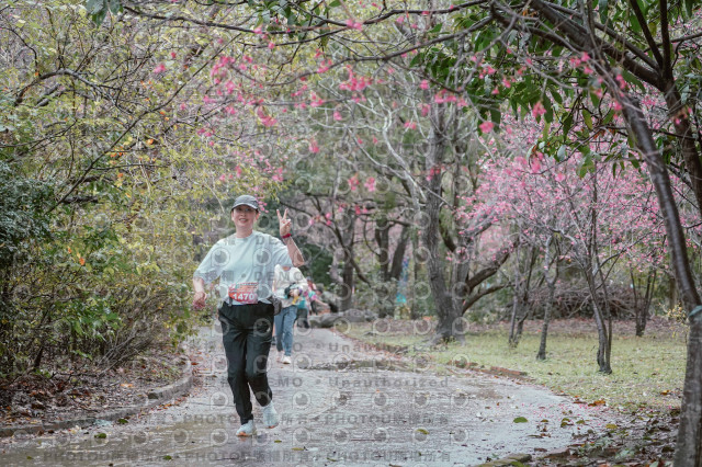2026左岸竹東櫻花馬拉松Zhudong Sakura Marathon