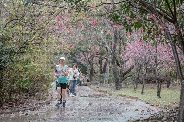2026左岸竹東櫻花馬拉松Zhudong Sakura Marathon