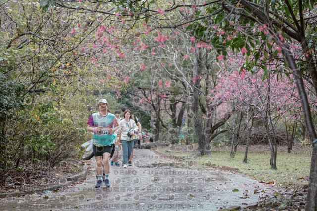 2026左岸竹東櫻花馬拉松Zhudong Sakura Marathon