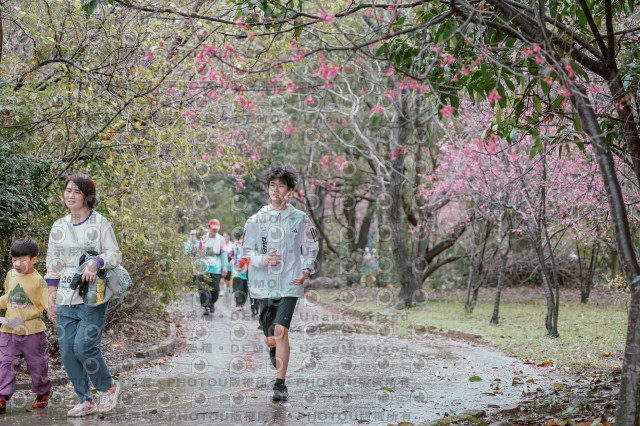 2026左岸竹東櫻花馬拉松Zhudong Sakura Marathon