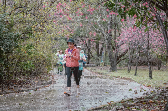 2026左岸竹東櫻花馬拉松Zhudong Sakura Marathon