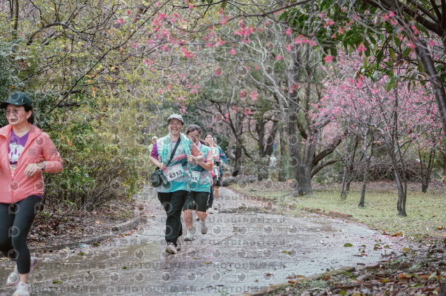 2026左岸竹東櫻花馬拉松Zhudong Sakura Marathon
