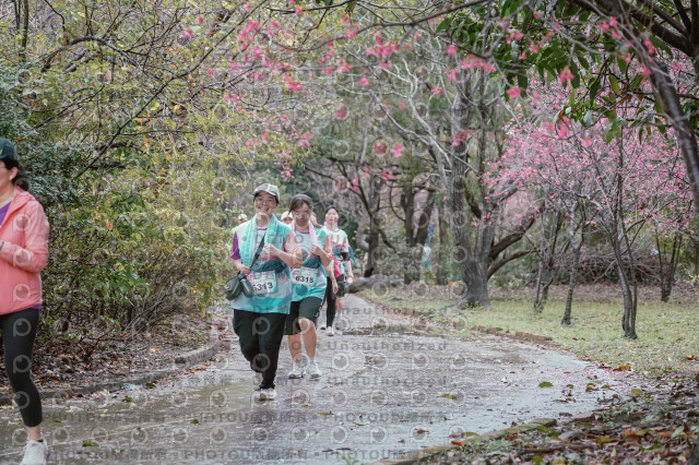 2026左岸竹東櫻花馬拉松Zhudong Sakura Marathon
