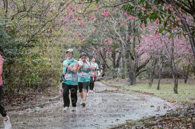 2026左岸竹東櫻花馬拉松Zhudong Sakura Marathon