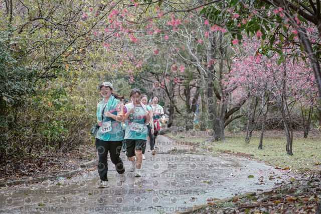 2026左岸竹東櫻花馬拉松Zhudong Sakura Marathon