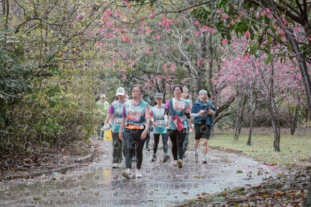 2026左岸竹東櫻花馬拉松Zhudong Sakura Marathon