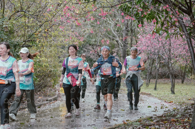 2026左岸竹東櫻花馬拉松Zhudong Sakura Marathon