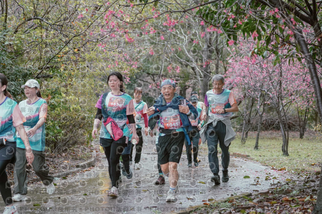 2026左岸竹東櫻花馬拉松Zhudong Sakura Marathon