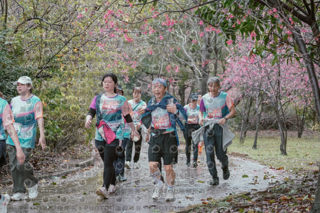 2026左岸竹東櫻花馬拉松Zhudong Sakura Marathon