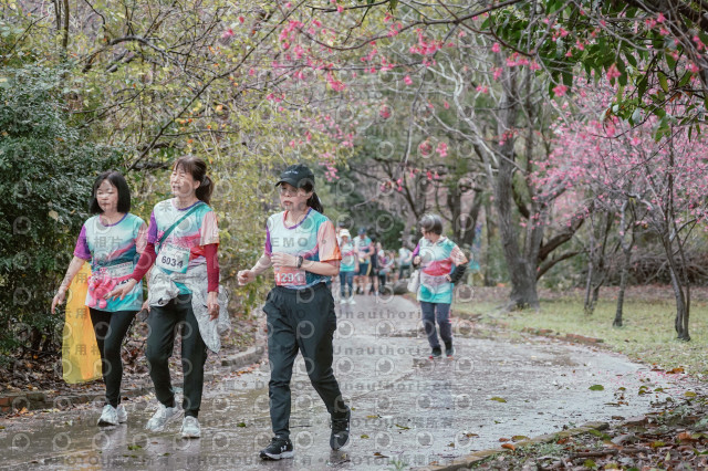 2026左岸竹東櫻花馬拉松Zhudong Sakura Marathon