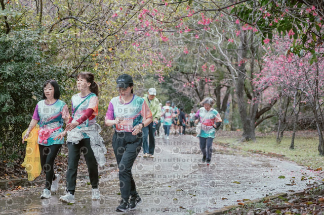 2026左岸竹東櫻花馬拉松Zhudong Sakura Marathon