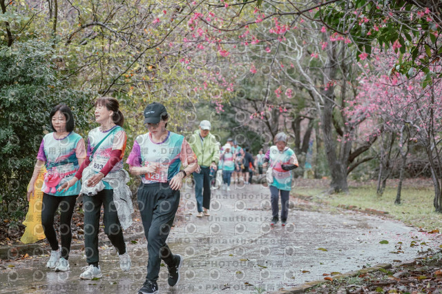 2026左岸竹東櫻花馬拉松Zhudong Sakura Marathon