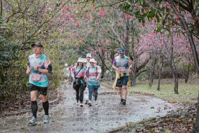 2026左岸竹東櫻花馬拉松Zhudong Sakura Marathon
