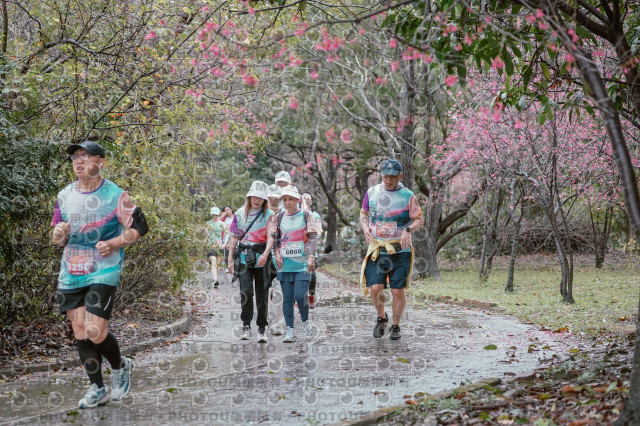 2026左岸竹東櫻花馬拉松Zhudong Sakura Marathon