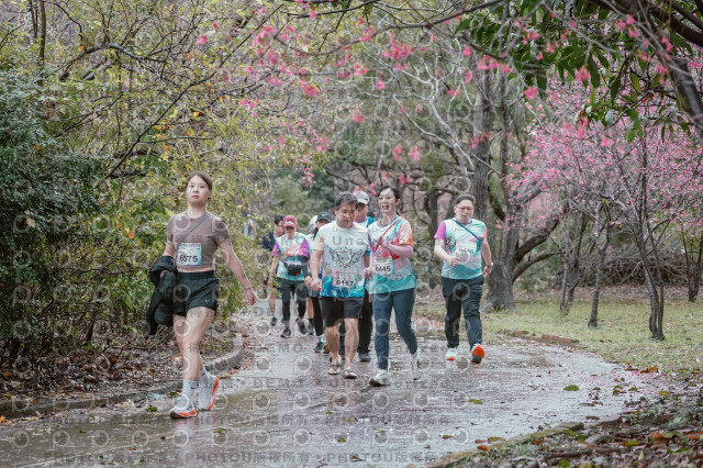 2026左岸竹東櫻花馬拉松Zhudong Sakura Marathon