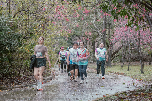 2026左岸竹東櫻花馬拉松Zhudong Sakura Marathon