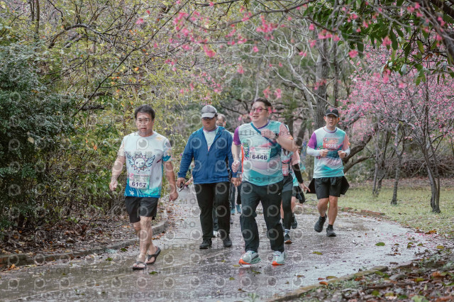 2026左岸竹東櫻花馬拉松Zhudong Sakura Marathon