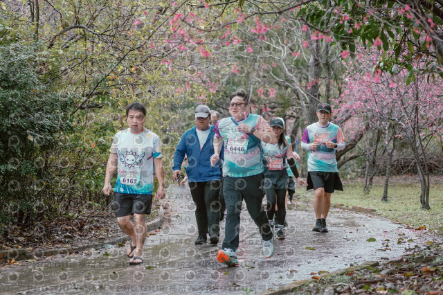 2026左岸竹東櫻花馬拉松Zhudong Sakura Marathon