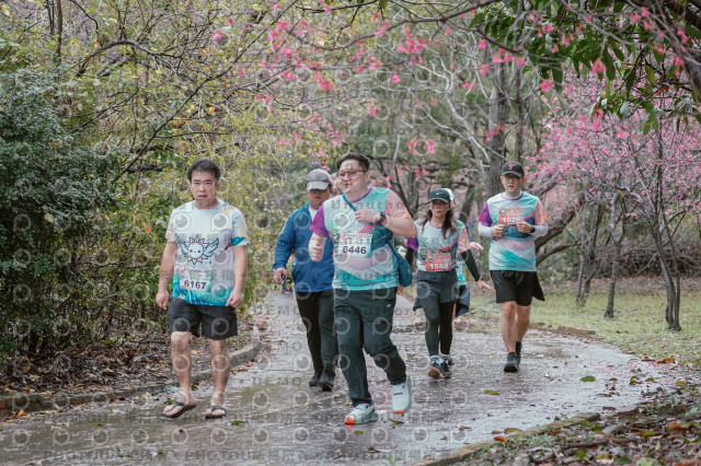 2026左岸竹東櫻花馬拉松Zhudong Sakura Marathon