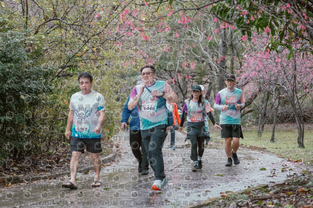 2026左岸竹東櫻花馬拉松Zhudong Sakura Marathon