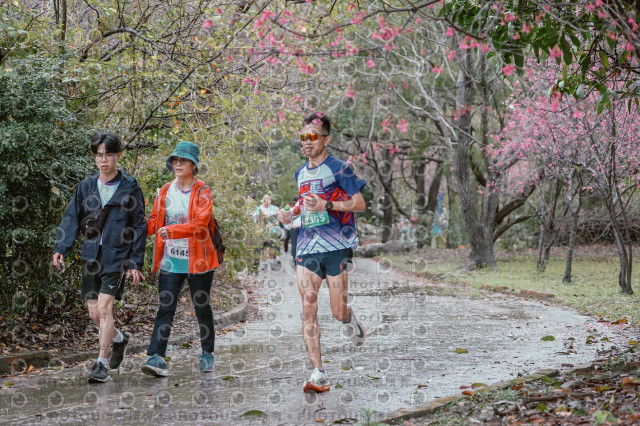 2026左岸竹東櫻花馬拉松Zhudong Sakura Marathon