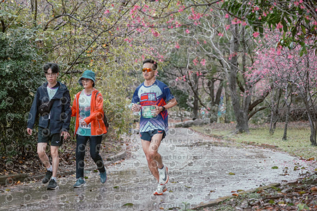 2026左岸竹東櫻花馬拉松Zhudong Sakura Marathon
