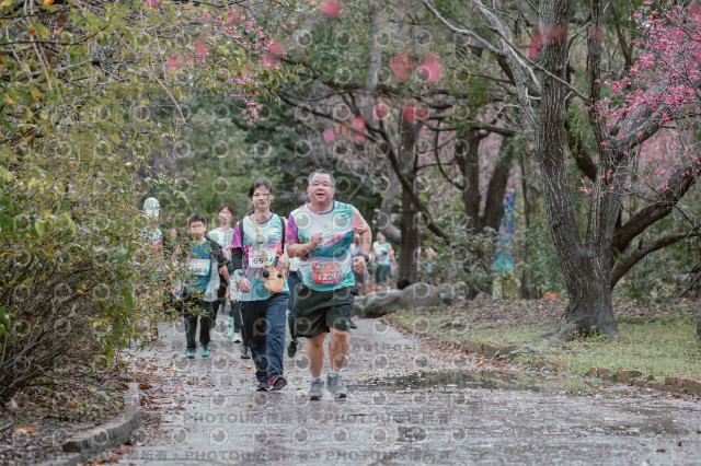 2026左岸竹東櫻花馬拉松Zhudong Sakura Marathon