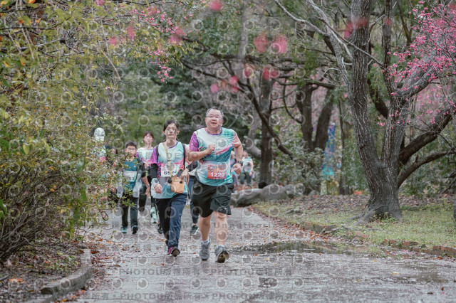 2026左岸竹東櫻花馬拉松Zhudong Sakura Marathon